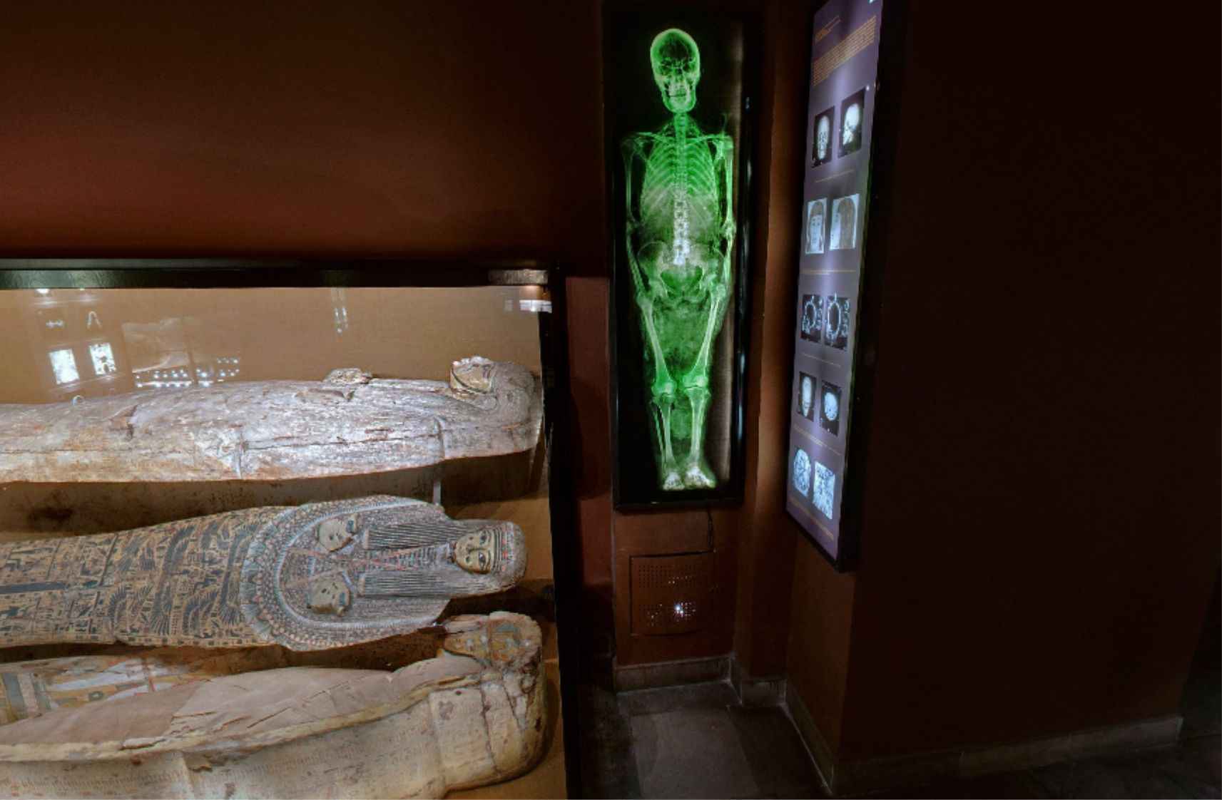 Archaeological Museum of the Jagiellonian University Krakow