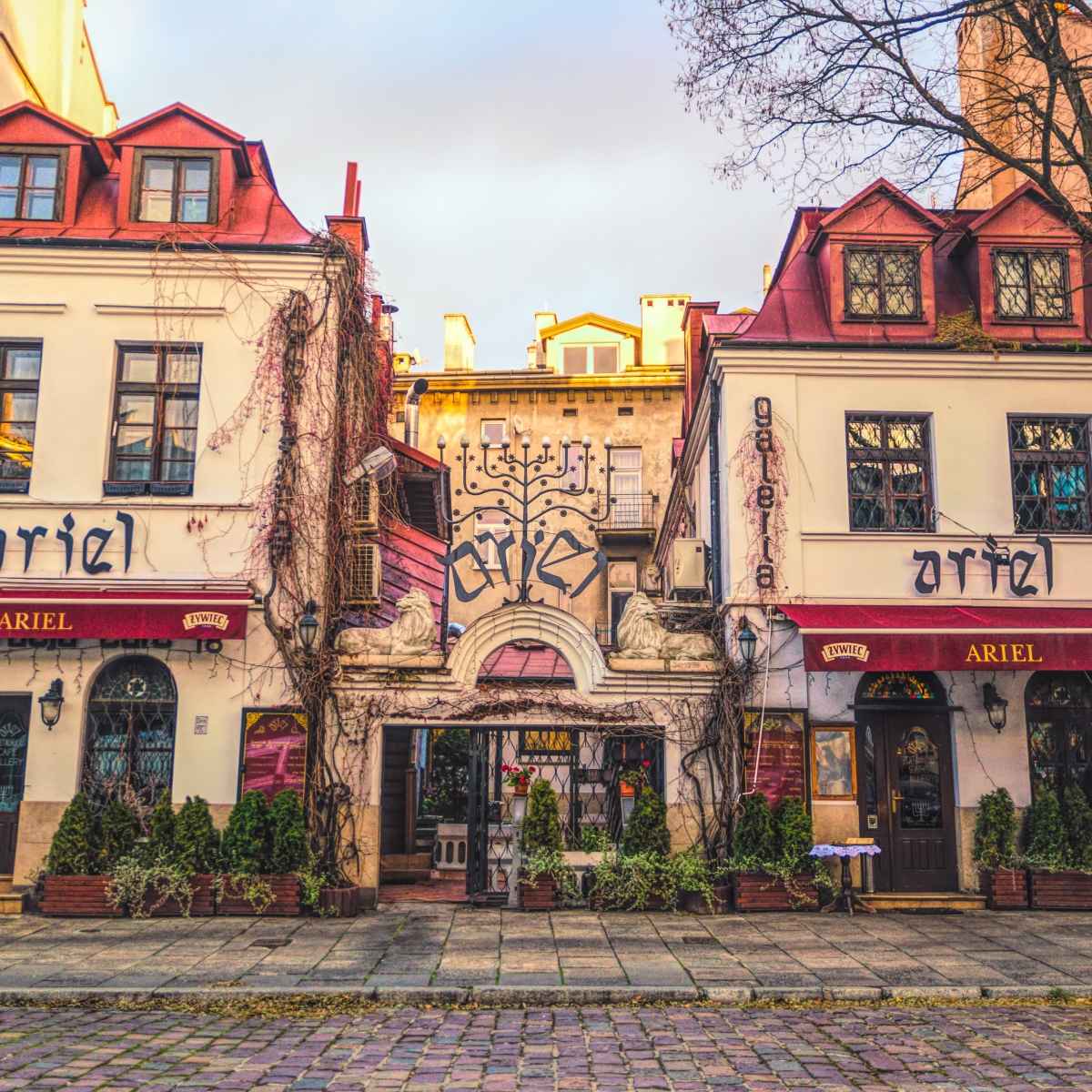 Ariel restaurang Kazimierz Krakow, sightseeing i Krakow