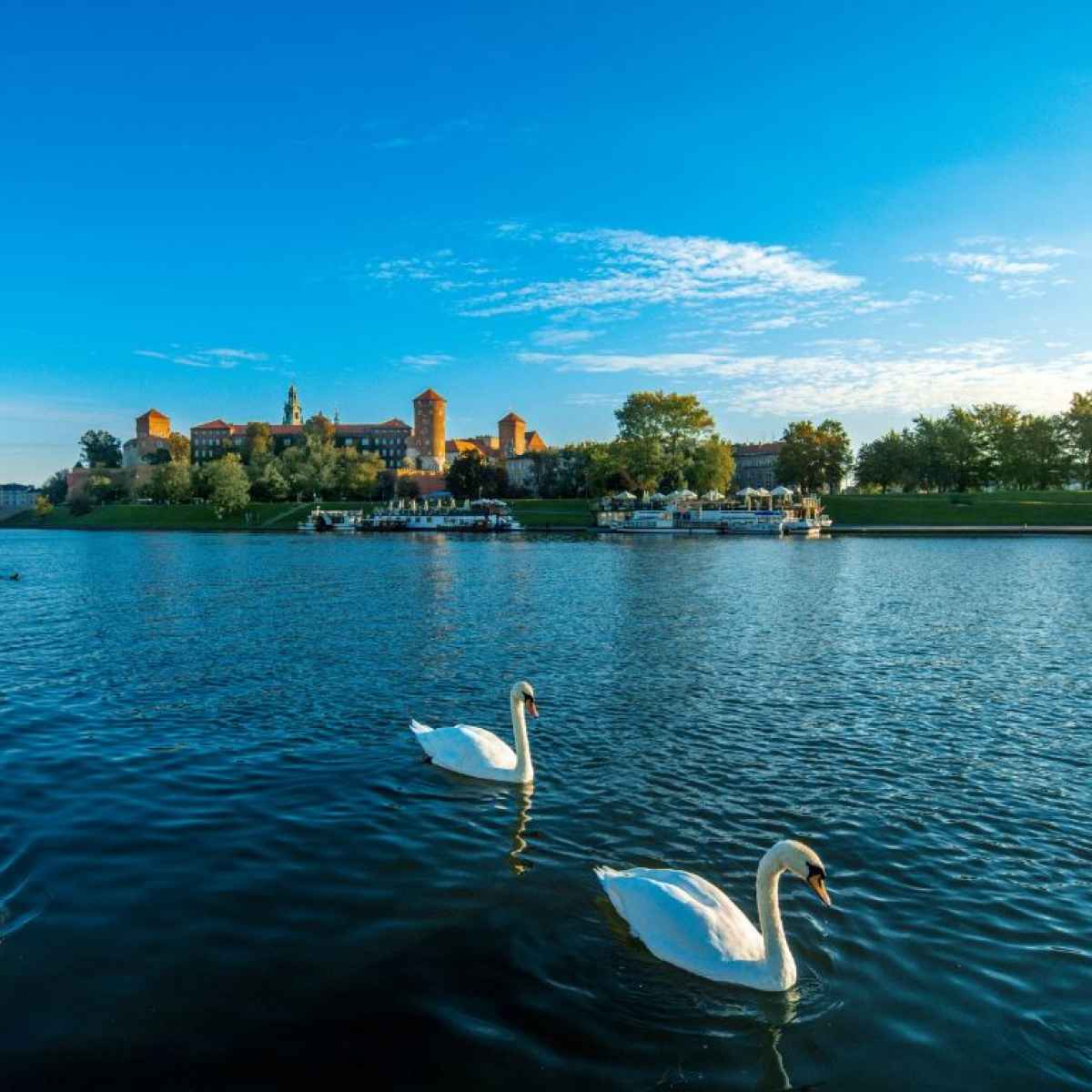 Flodkryssning i Krakow på floden Wisla