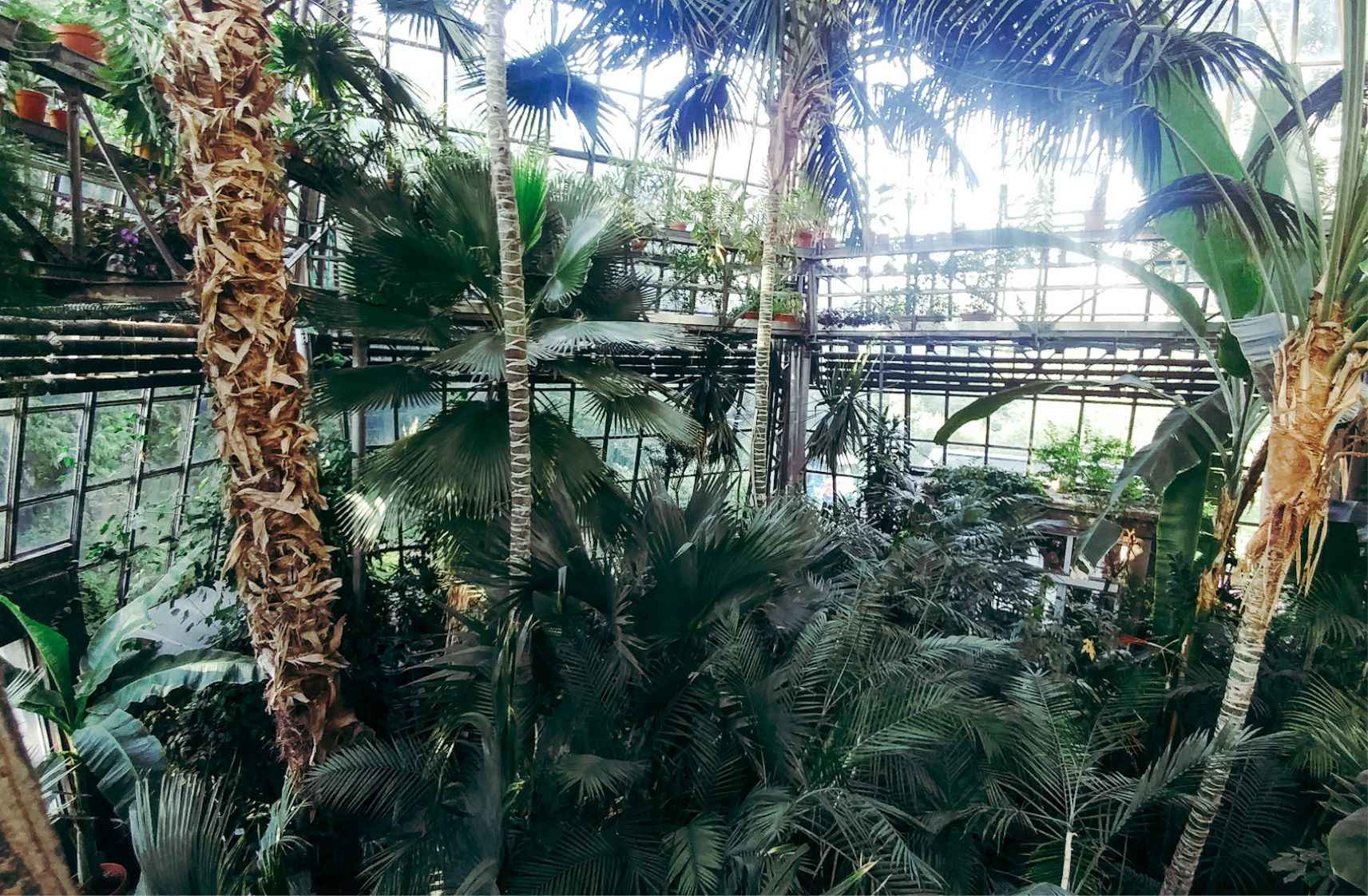 Botanical Garden in Krakow