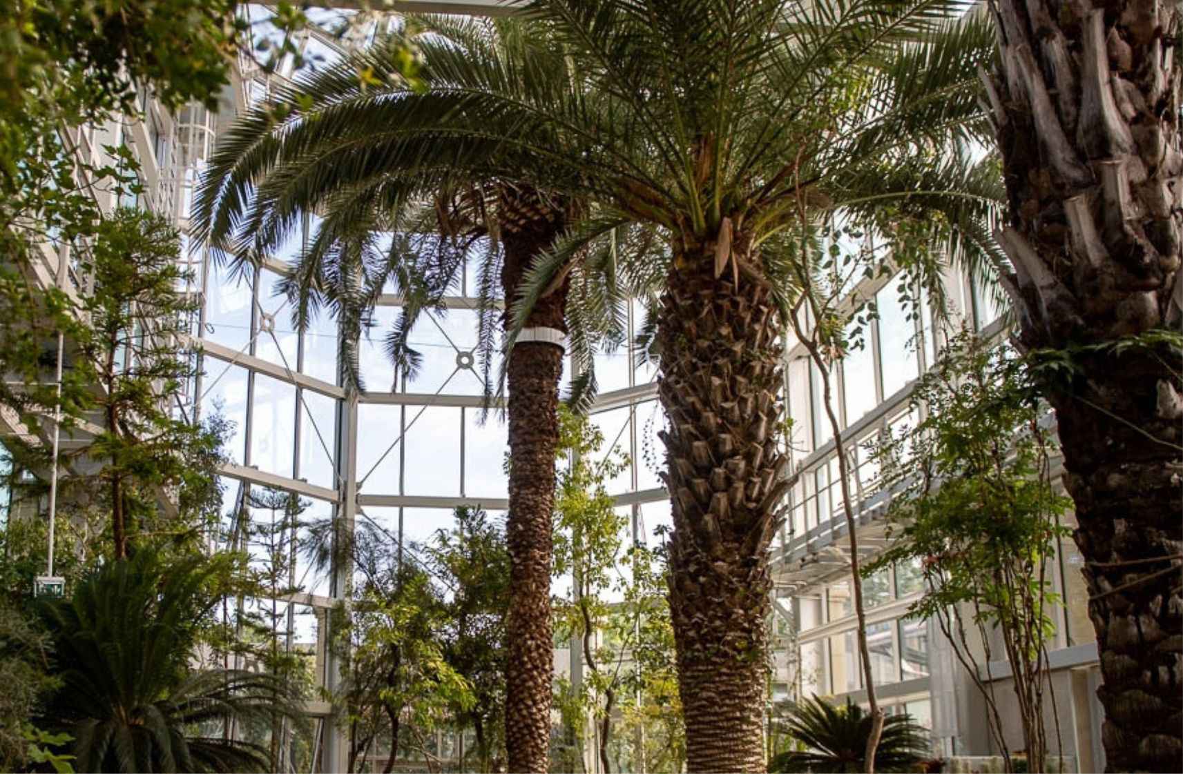Botanical Garden in Krakow