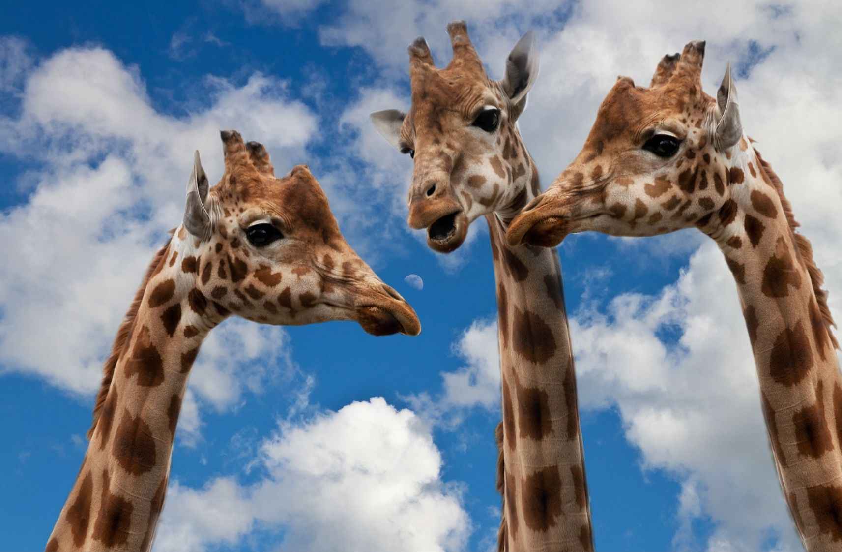 Krakow Zoo