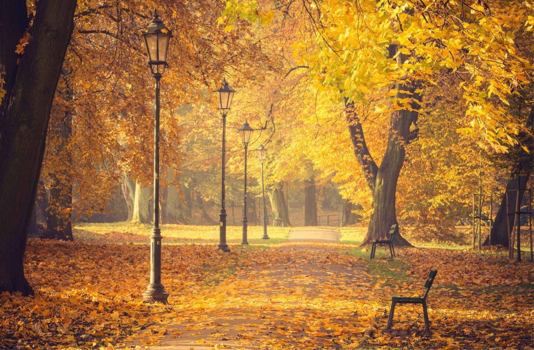 Krakow Planty Park