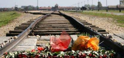 79:e årsdagen av likvideringen av Rom-leiren i Auschwitz